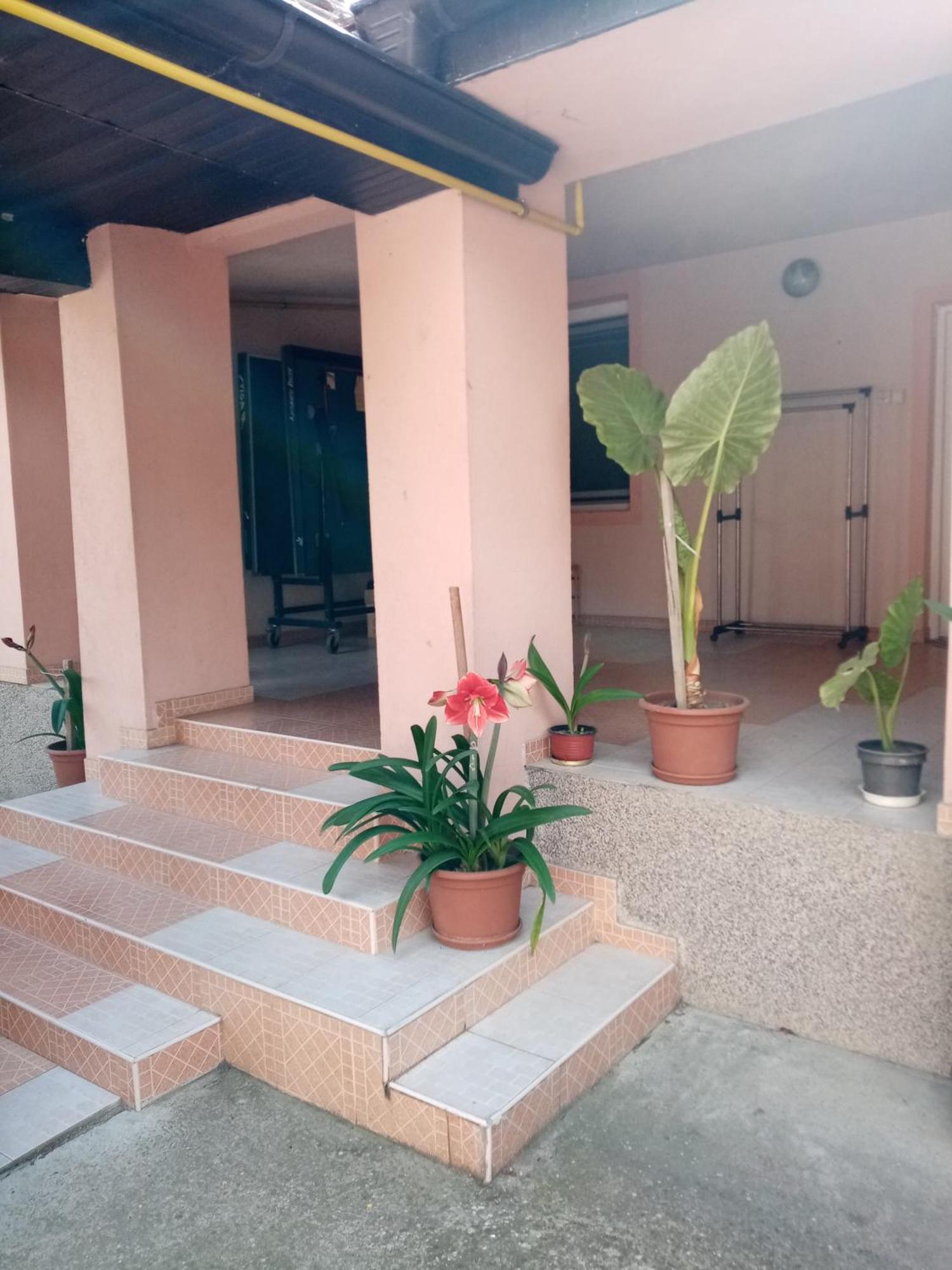 Milica Apartmani 브르드니크 외부 사진
