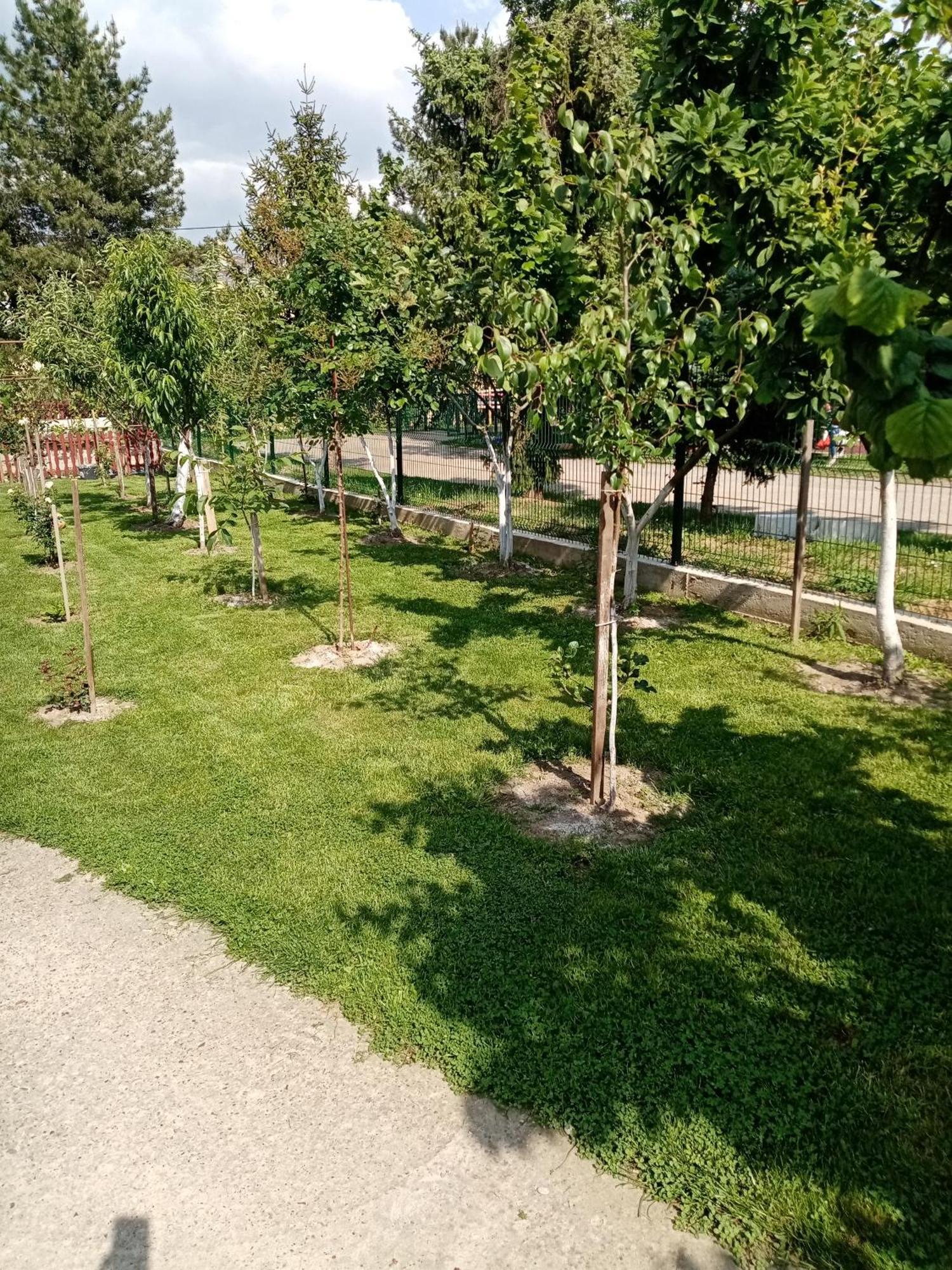 Milica Apartmani 브르드니크 외부 사진